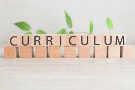 カリキュラム